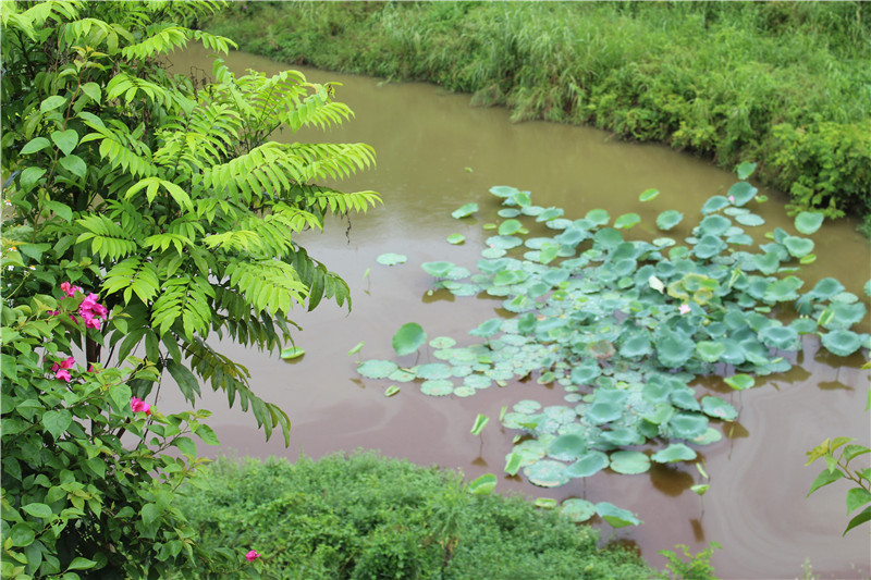 鎰辰,鎰辰集團(tuán),鎰辰智造,鎰辰鋼鐵,奧特浦斯,天津奧特浦斯 鎰辰,鎰辰集團(tuán),鎰辰智造,鎰辰鋼鐵,奧特浦斯,天津奧特浦斯