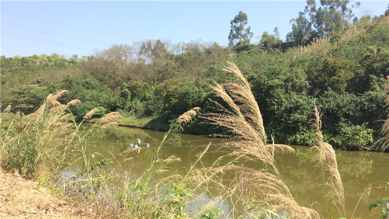 鎰辰,鎰辰集團(tuán),鎰辰智造 鎰辰,鎰辰集團(tuán),鎰辰智造