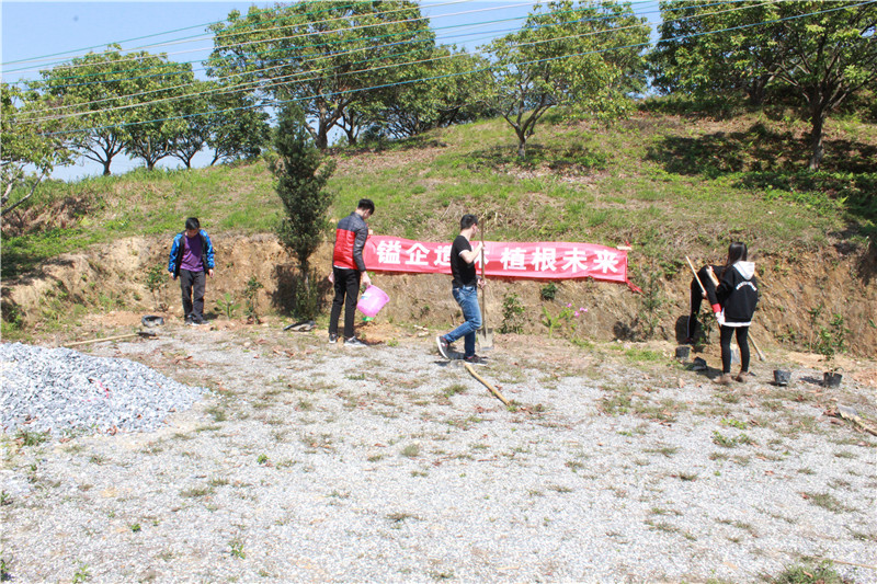 鎰辰,鎰辰集團(tuán),鎰辰智造 鎰辰,鎰辰集團(tuán),鎰辰智造