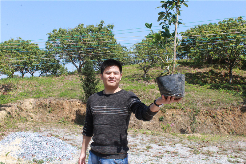 鎰辰,鎰辰集團(tuán),鎰辰智造 鎰辰,鎰辰集團(tuán),鎰辰智造